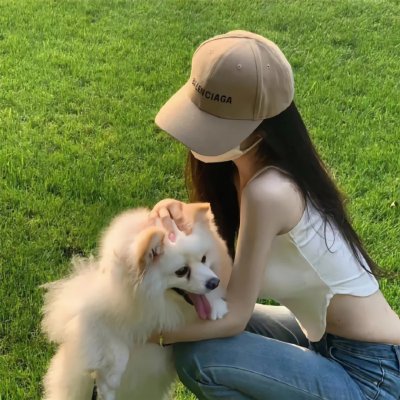 都柏林动物